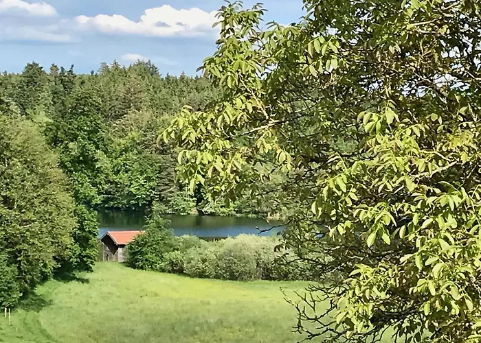 Haus Dreiseenblick - Adults Only Daire Rimsting