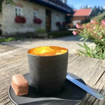 Haus Dreiseenblick - Adults Only *
